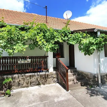Guest house Lugas Vendeghaz